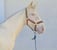 Horse ad