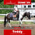 Annuncio cavallo