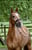 Horse ad