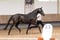Horse ad