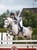 Horse ad