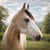 Horse ad