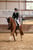 Annuncio cavallo