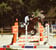Annuncio cavallo