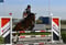 Annuncio cavallo