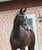 Annuncio cavallo