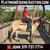 Horse ad