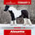 Horse ad
