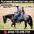 Horse ad