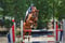 Annuncio cavallo