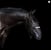 Horse ad