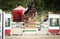 Horse ad
