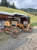 Annonce cheval