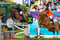 Annonce cheval