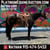 Horse ad