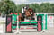 Horse ad