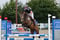 Horse ad