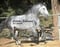 Annuncio cavallo