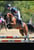 Horse ad
