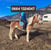 Horse ad