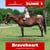 Paardadvertentie