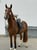 Horse ad
