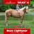 Horse ad