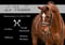 Horse ad