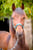 Horse ad