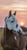 Horse ad