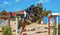 Horse ad