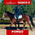 Annuncio cavallo