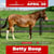 Horse ad