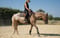 Horse ad