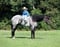 Annonce cheval