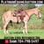 Horse ad