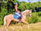 Annuncio cavallo