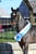 Horse ad