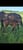 Horse ad