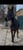 Horse ad