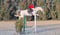 Horse ad