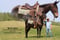Horse ad
