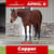 Annuncio cavallo
