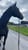 Annonce cheval