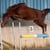 Horse ad