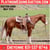 Anuncio de caballos