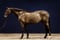 Horse ad