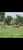 Horse ad