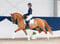 Annonce cheval