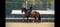 Horse ad